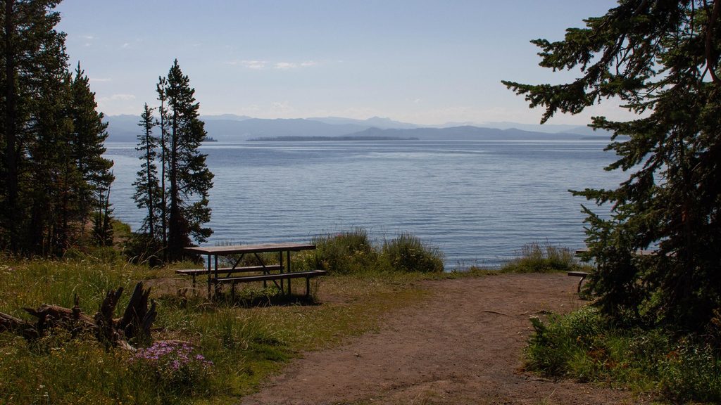 Spruce-Fir Exhibit Picnic Area, Yellowstone National Park