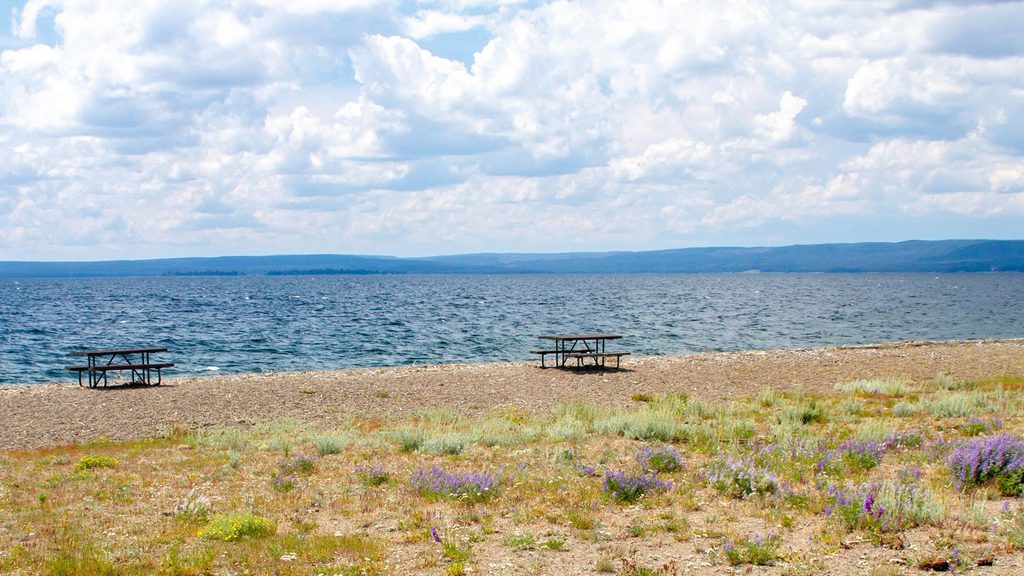 Sedge Bay Picnic Area, Yellowstone National Park