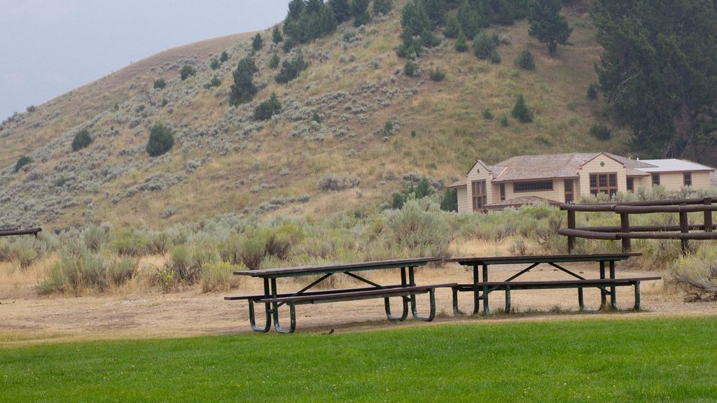 Albright Picnic Area, Yellowstone National Park