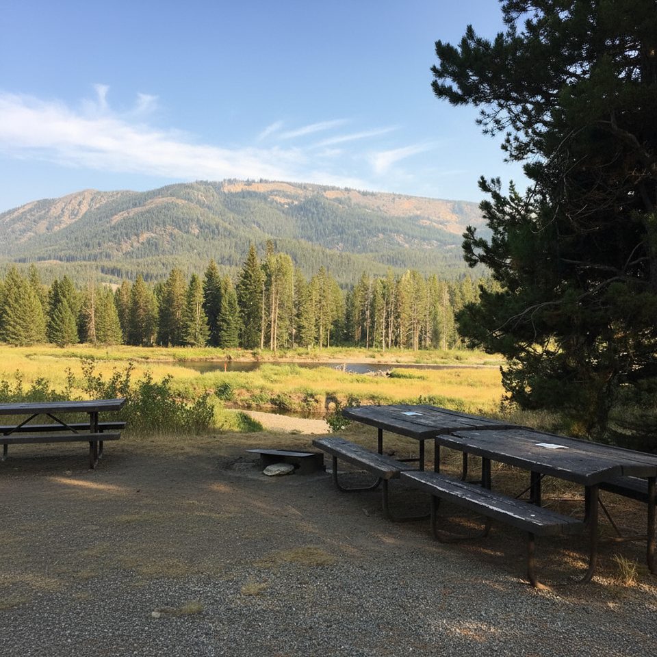 Snake River Picnic Area, Yellowstone National Park