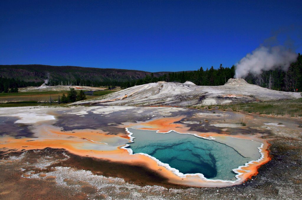 Lion Geyser, Yellowstone National Park