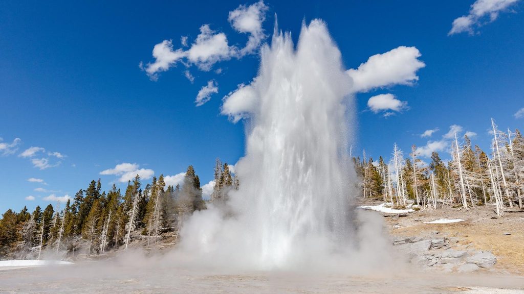 Grand Geyser, Yellowstone National Park