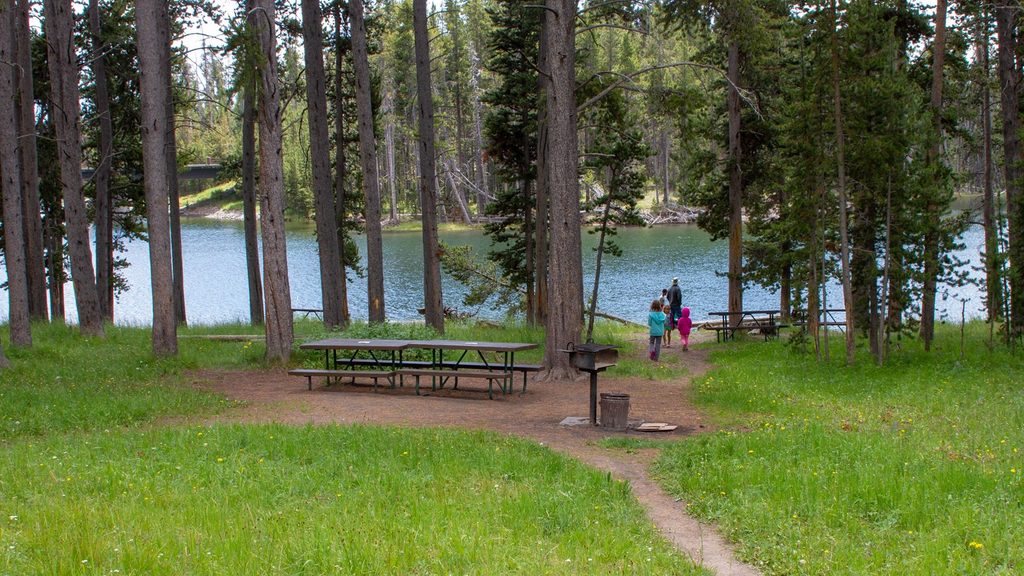 Bridge Bay Picnic Area, Yellowstone National Park