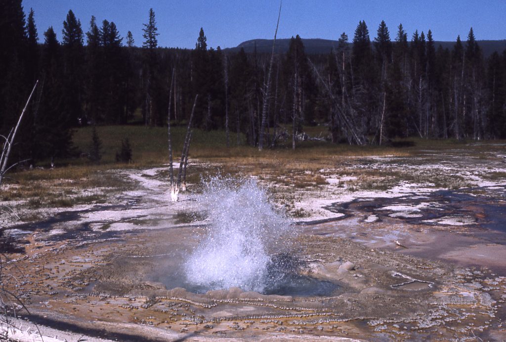 Heart Lake Geyser Basin, Yellowstone National Park