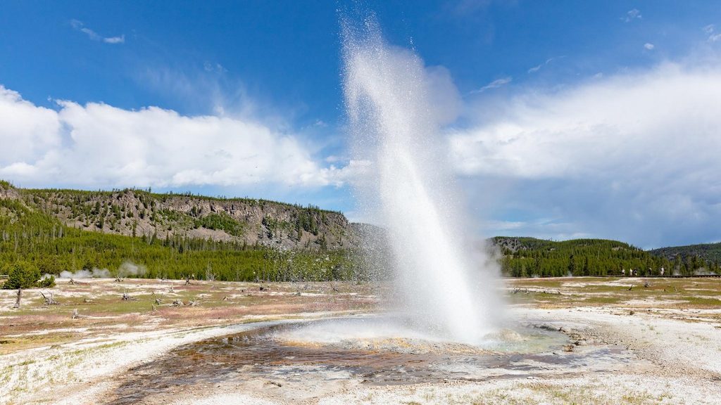 Jewel Geyser, Yellowstone National Park