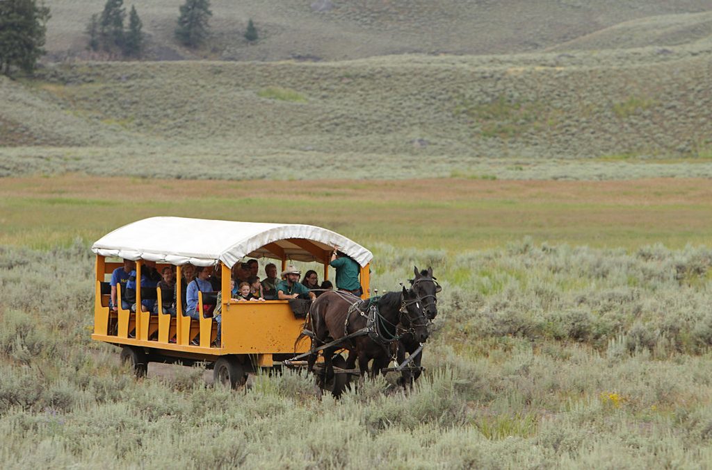 Old West Dinner Cookout, Yellowstone National Park