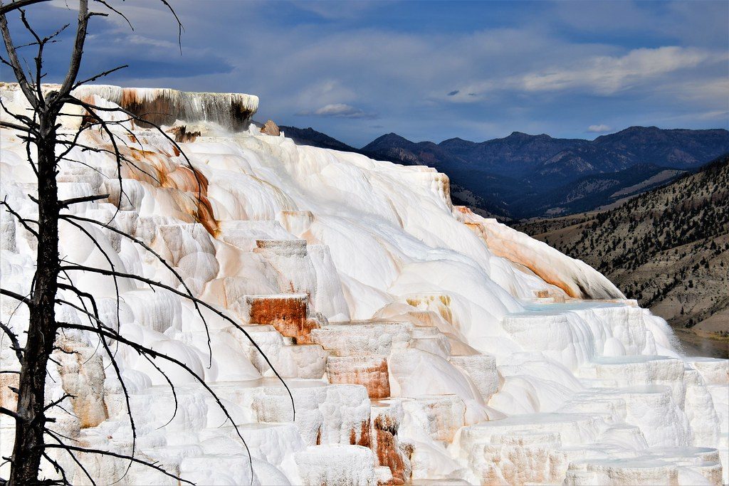 Canary Spring, Yellowstone National Park