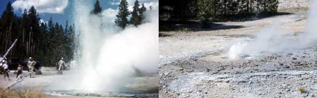Minute Geyser, Yellowstone National Park