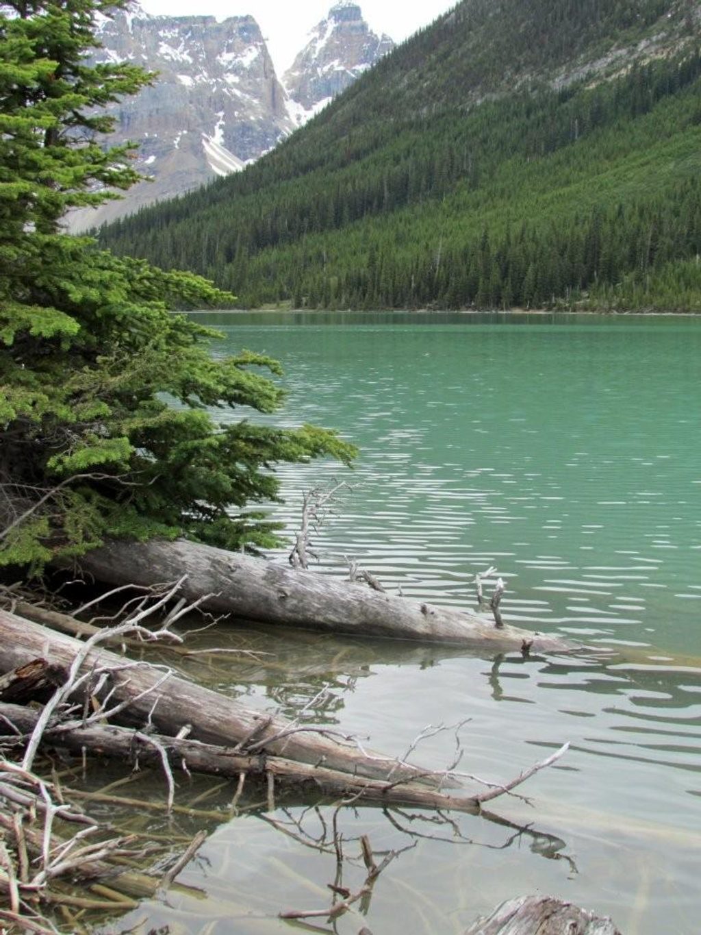 Sherbrooke Lake, Yoho National Park