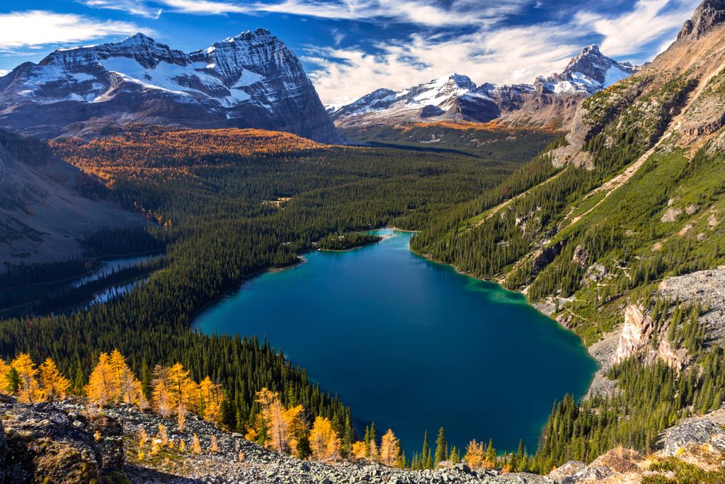 Lake O'Hara, Yoho National Park
