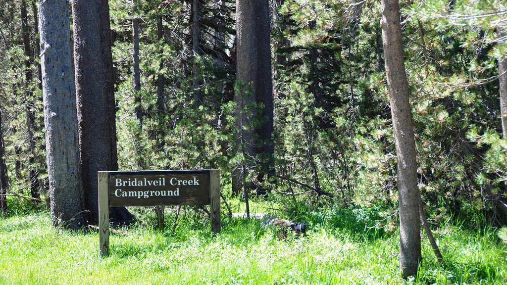 Bridalveil Creek Campground, Yosemite National Park