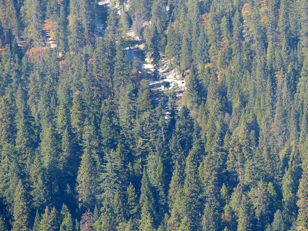 Wawona Swinging Bridge, Yosemite National Park
