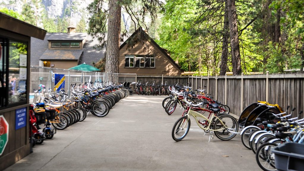 Bike Stand, Yosemite National Park