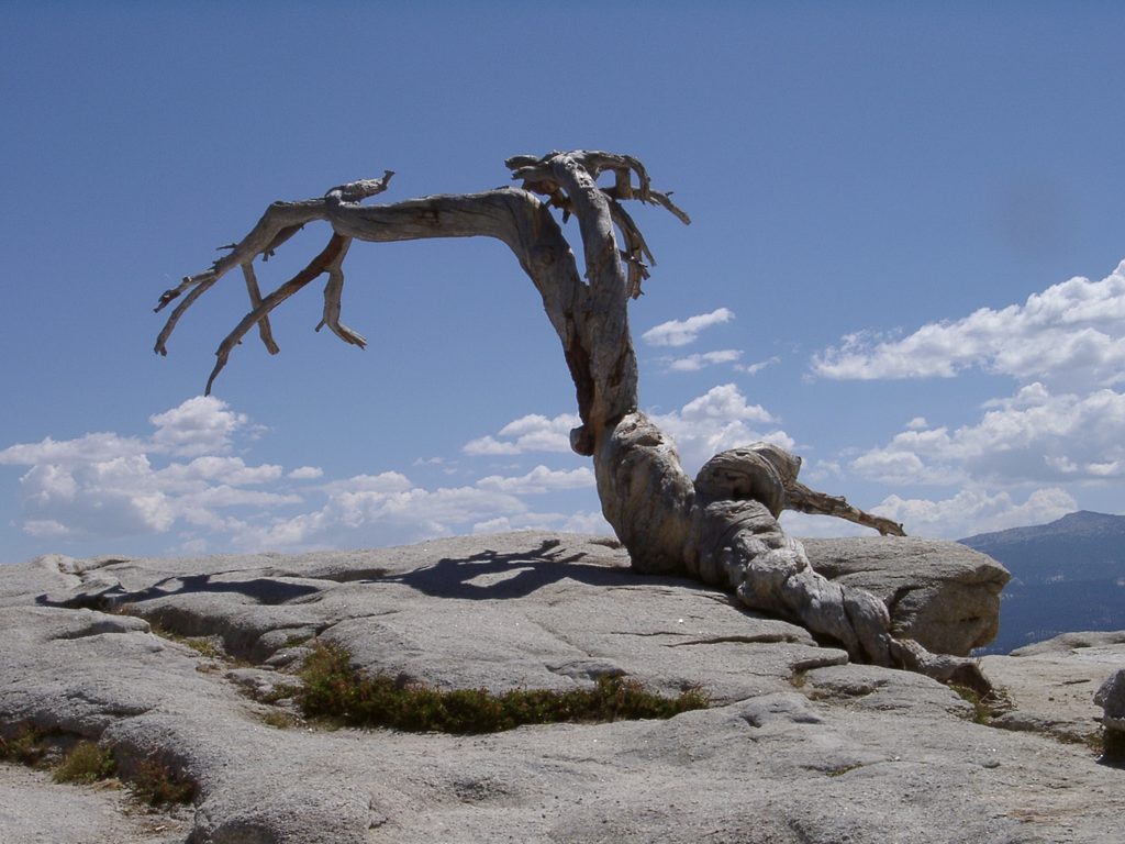 Sentinel Dome, Yosemite National Park