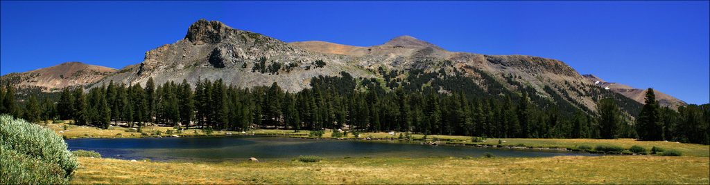 Mount Dana, Yosemite National Park