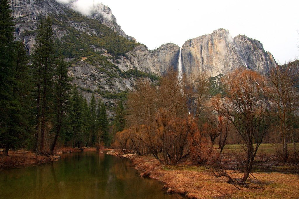 Sentinel Meadow, Yosemite National Park