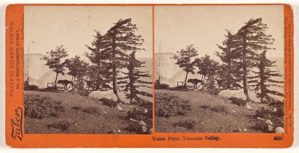 Union Point, Yosemite National Park