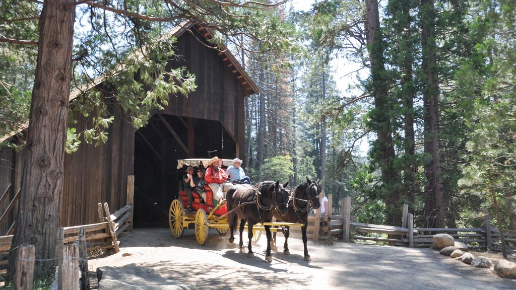 Pioneer Yosemite History Center, Yosemite National Park