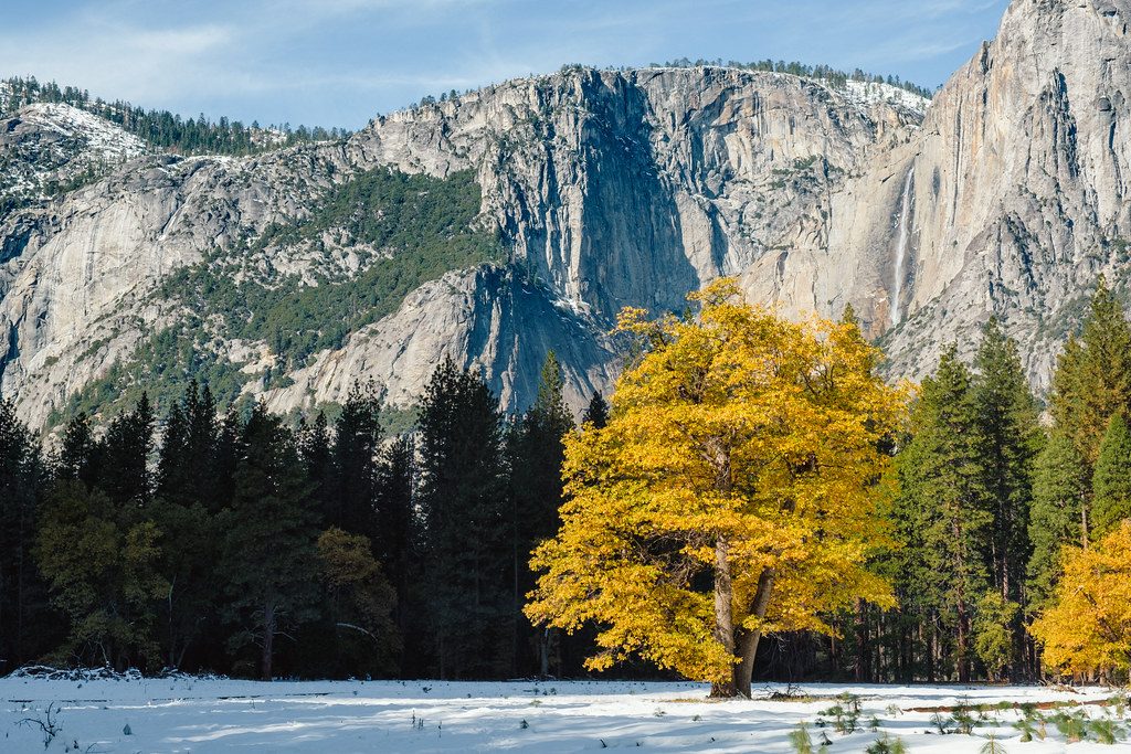 Stoneman Meadow, Yosemite National Park