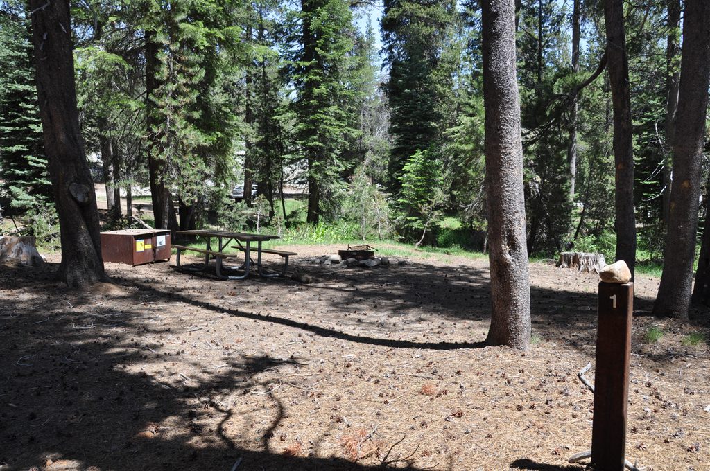 Yosemite Creek Campground, Yosemite National Park