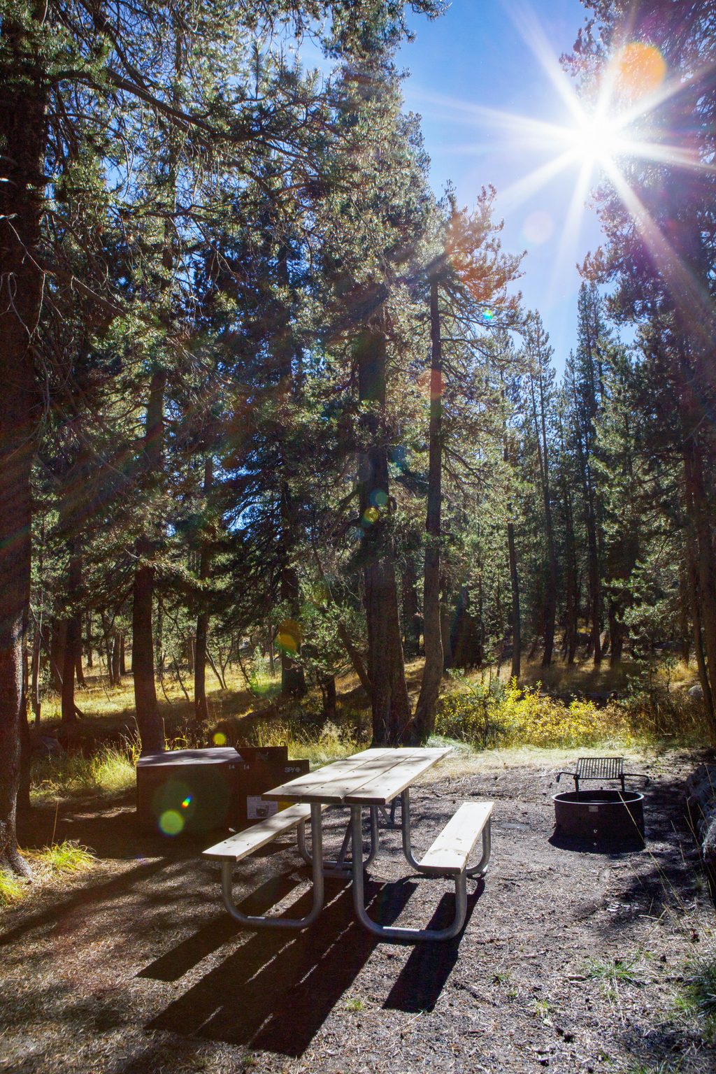 Porcupine Flat Campground, Yosemite National Park