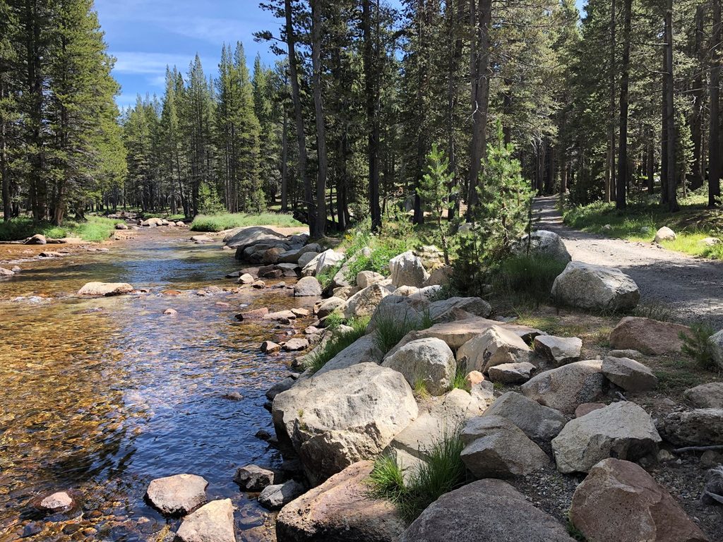 Tuolumne Meadows Campground, Yosemite National Park