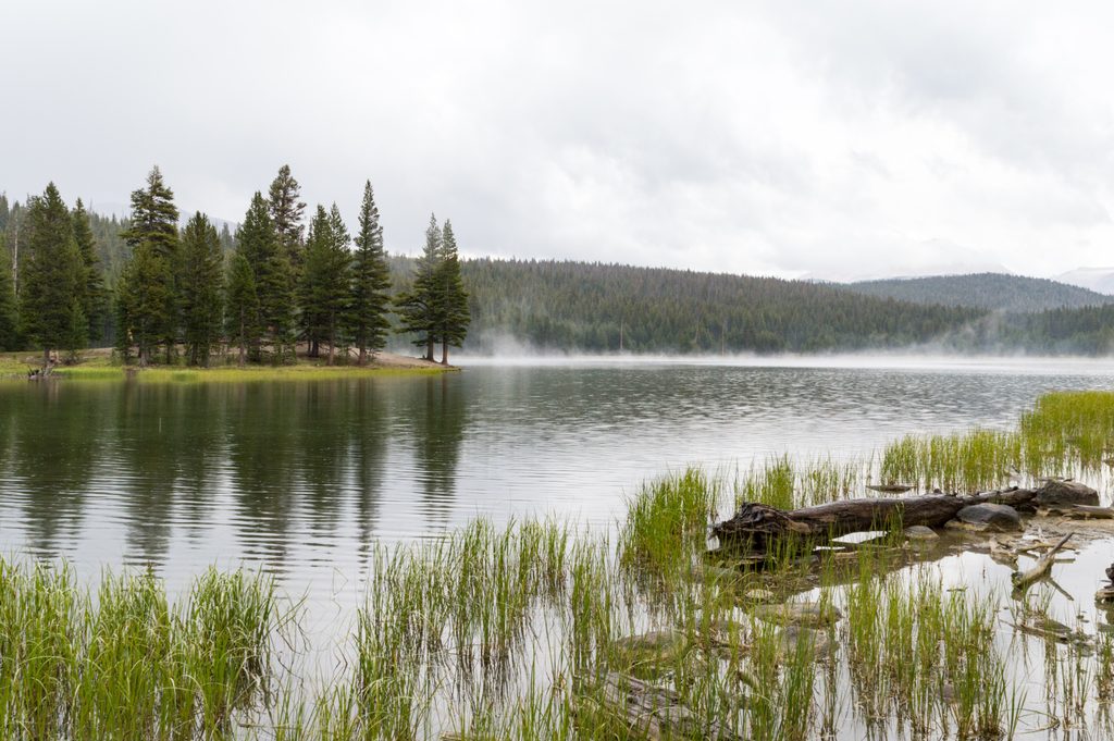 Dog Lake, Yosemite National Park