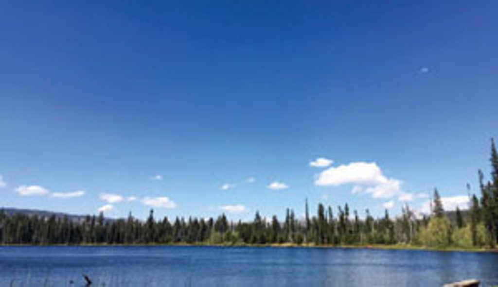 Laurel Lake, Yosemite National Park