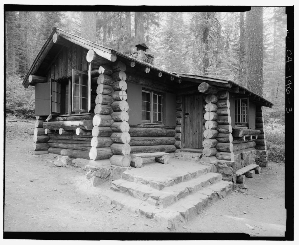 Merced Grove, Yosemite National Park