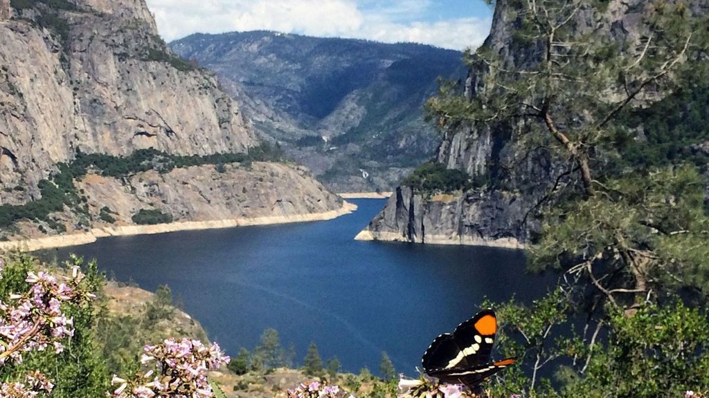 Hetch Hetchy Reservoir, Yosemite National Park