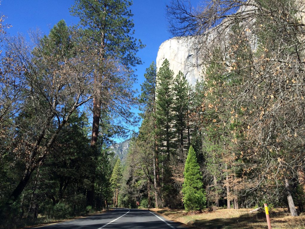 El Capitan Picnic Area, Yosemite National Park
