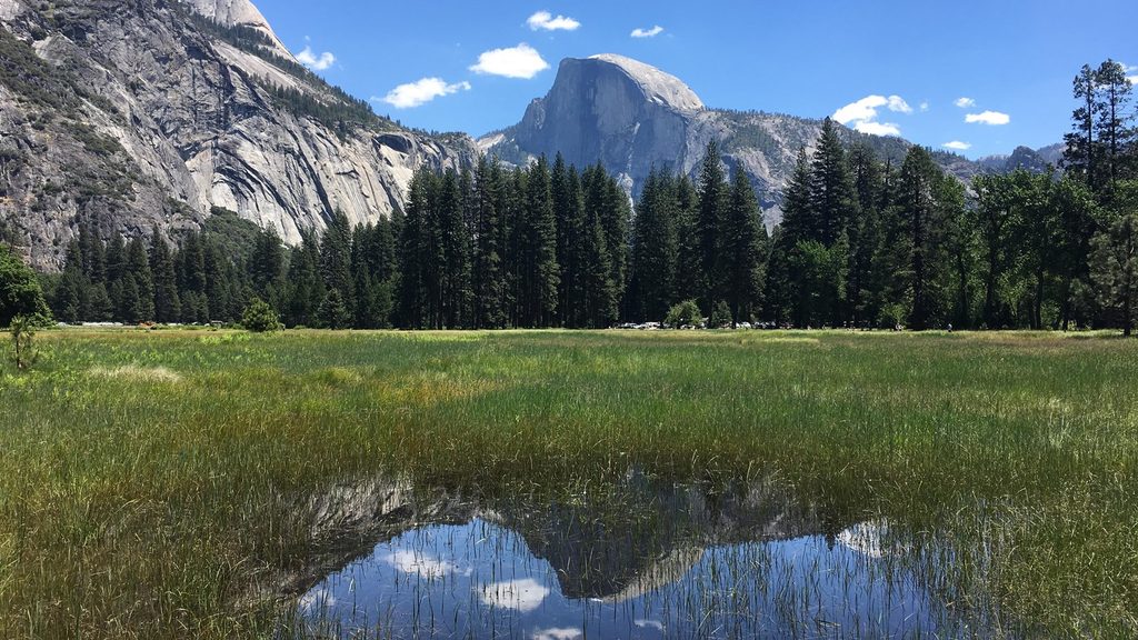Cook's Meadow, Yosemite National Park