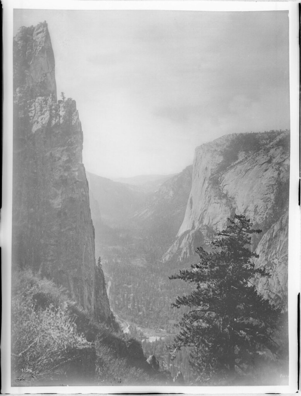 Lookout Point, Yosemite National Park