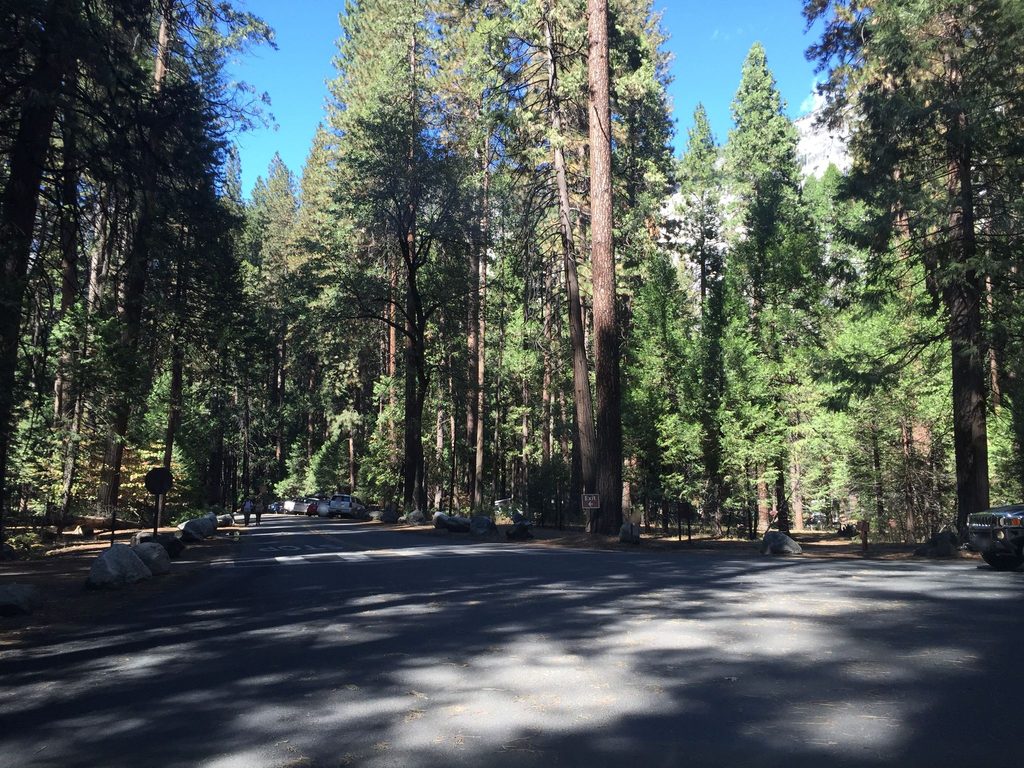 North Pines Campground, Yosemite National Park