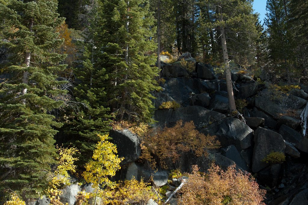 Quaking Aspen Falls, Yosemite National Park