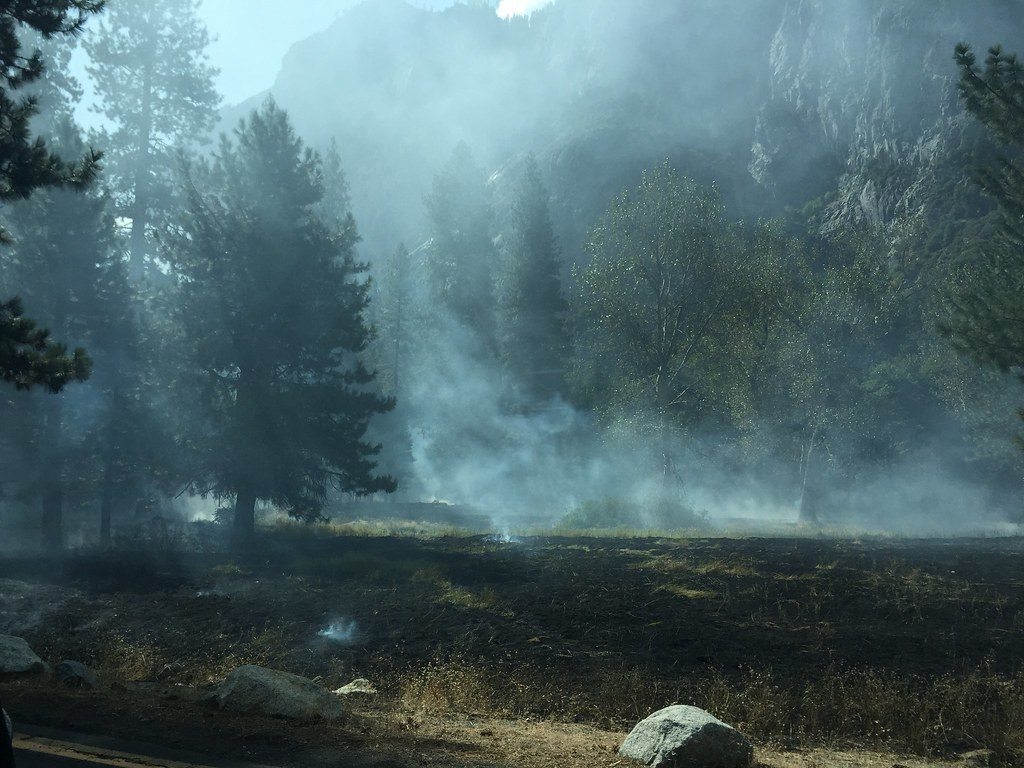 Ahwahnee Meadow, Yosemite National Park
