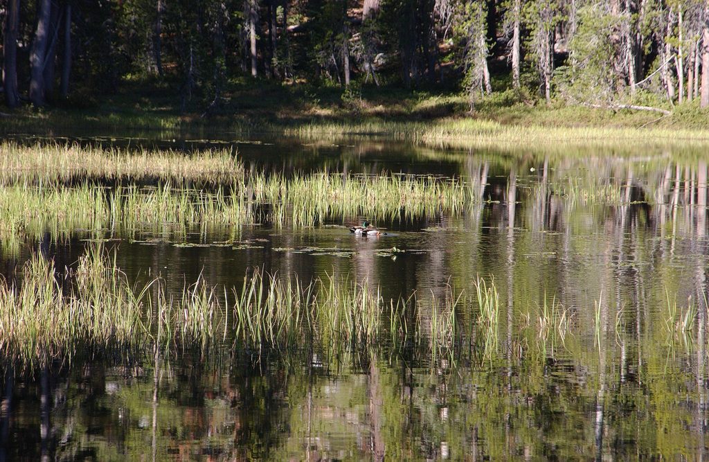 Siesta Lake, Yosemite National Park