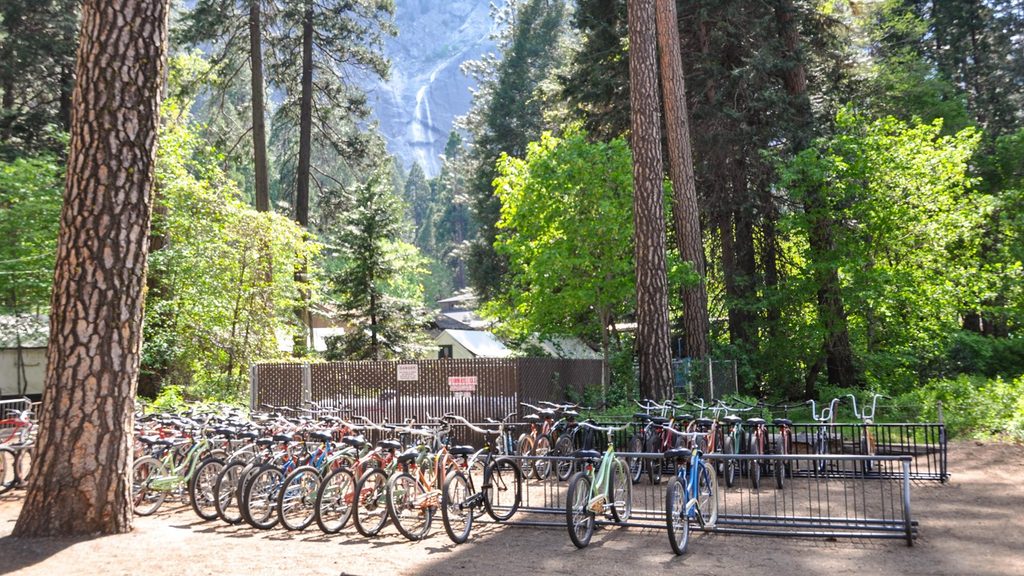 Curry Village Bike Pick Up, Yosemite National Park