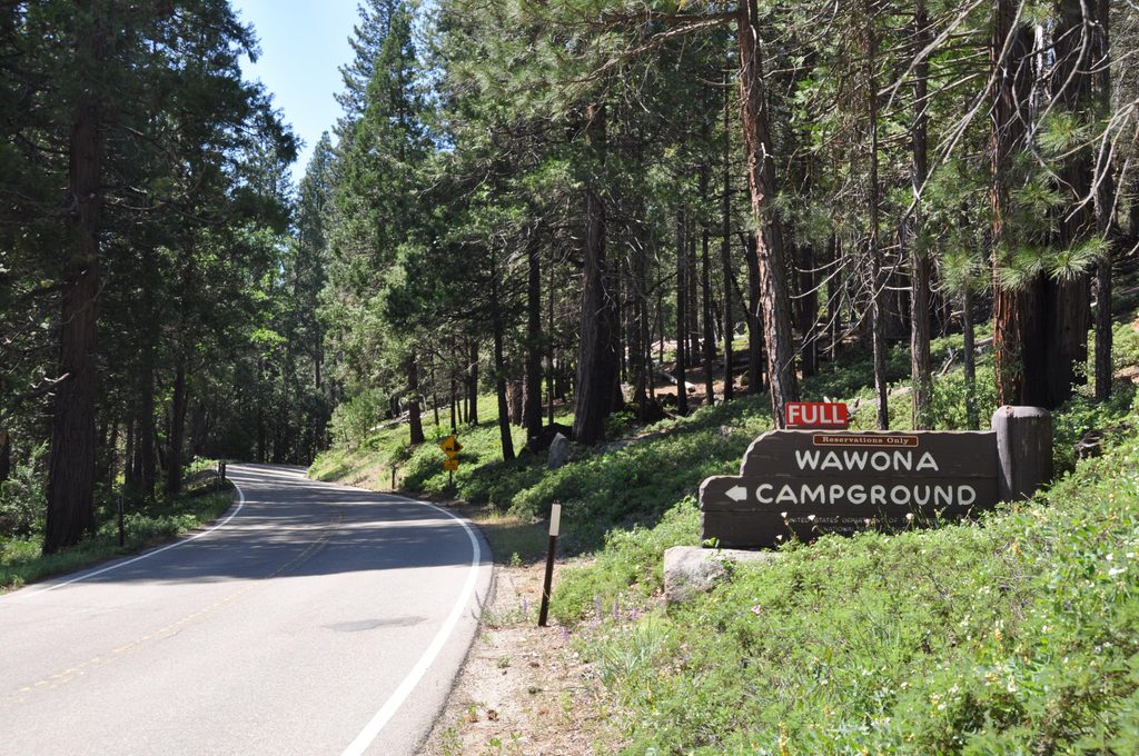 Wawona Campground, Yosemite National Park