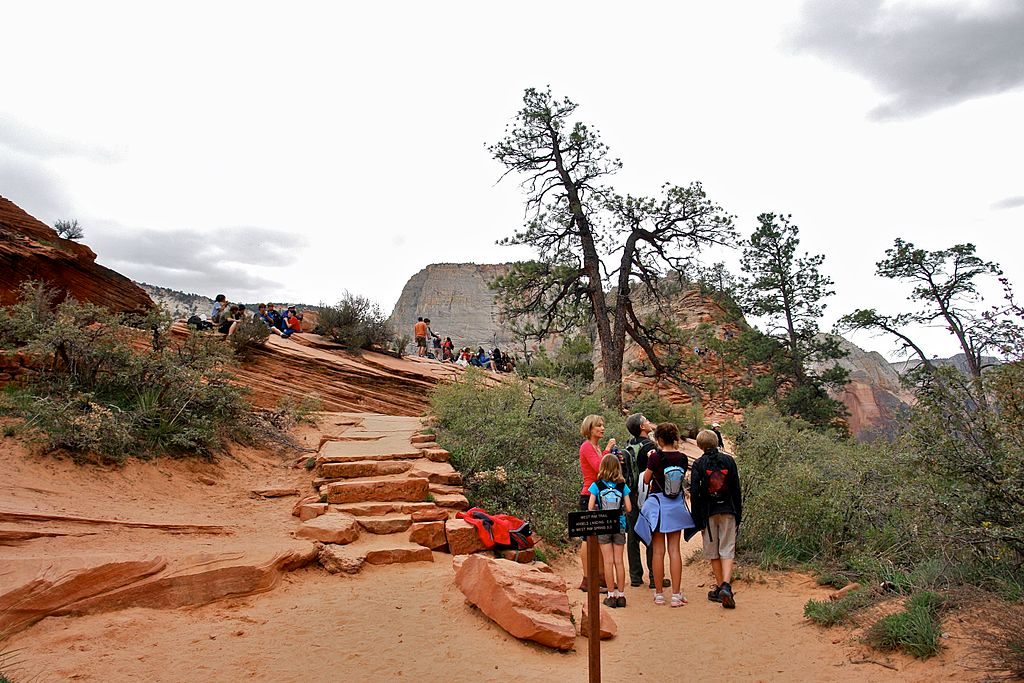 Scout Lookout, Zion National Park