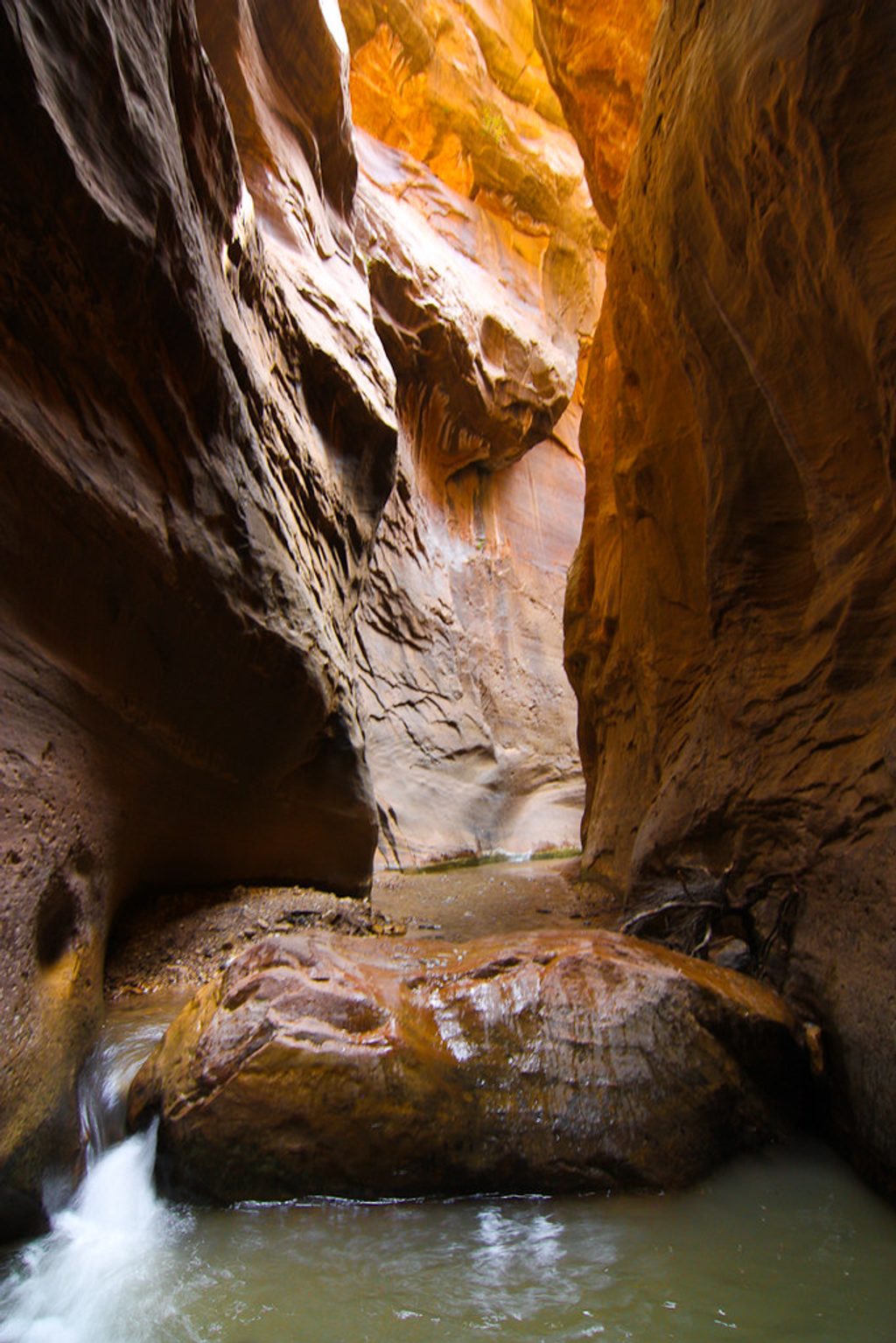 Orderville Canyon, Zion National Park