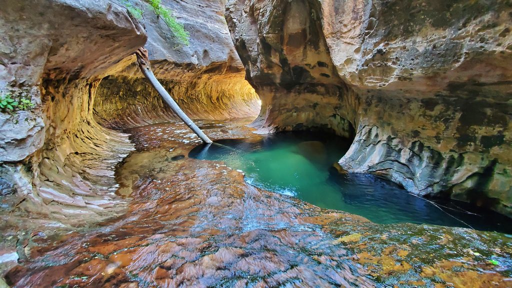Left Fork of North Creek, Zion National Park