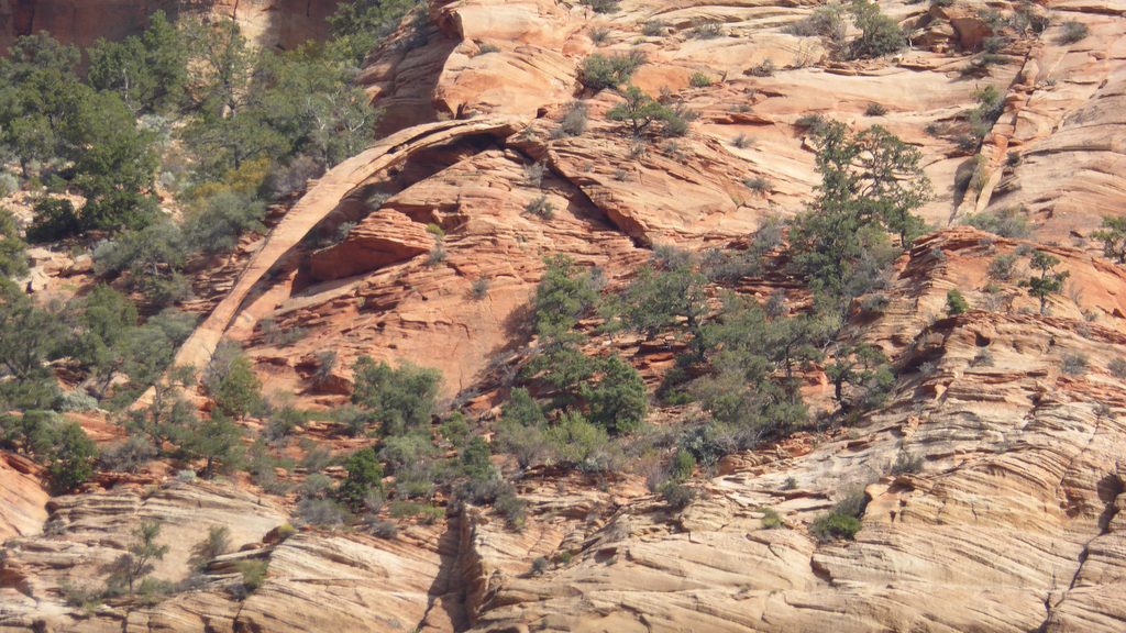 Bridge Mountain Arch, Zion National Park