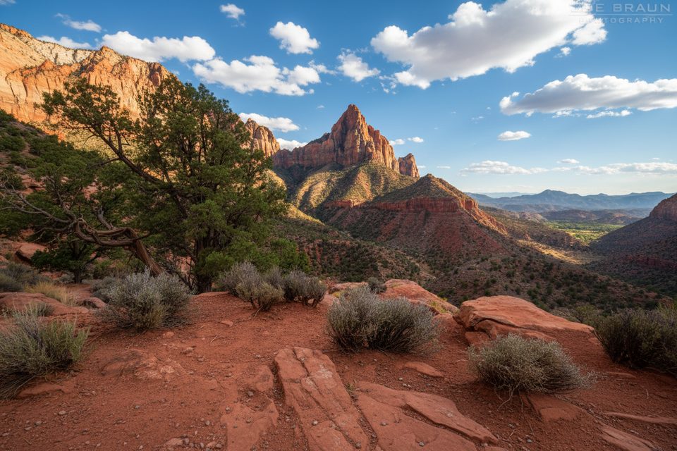 Watchman Trail Overlook, Zion National Park