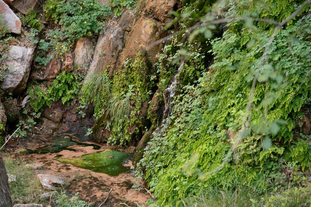 Menu Falls, Zion National Park