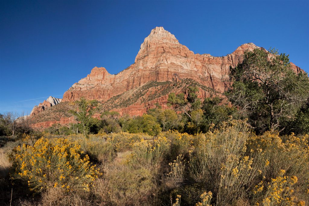Bridge Mountain, Zion National Park