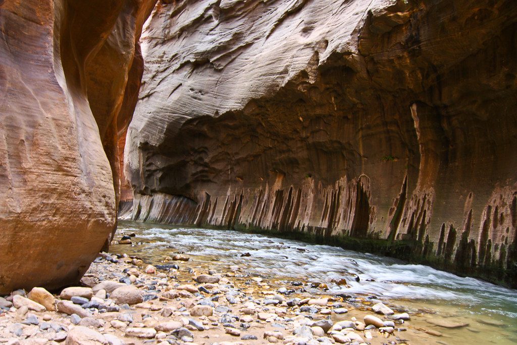Wall Street (The Narrows), Zion National Park