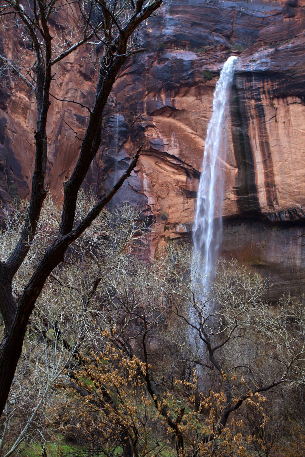 Emerald Pools, Zion National Park