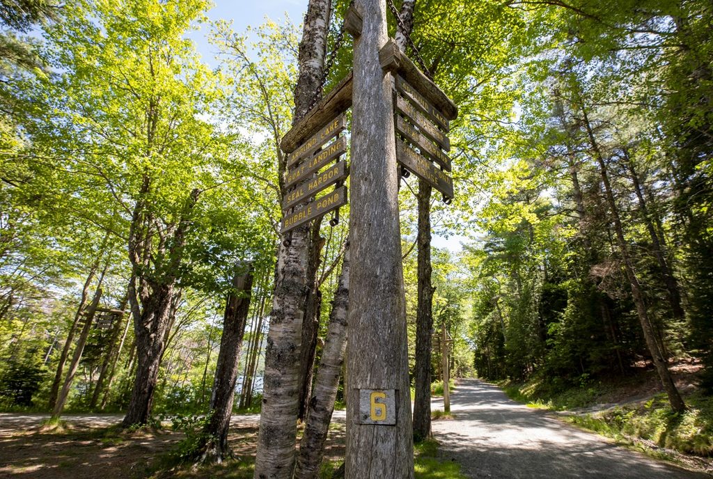 Eagle Lake Trail, Acadia National Park