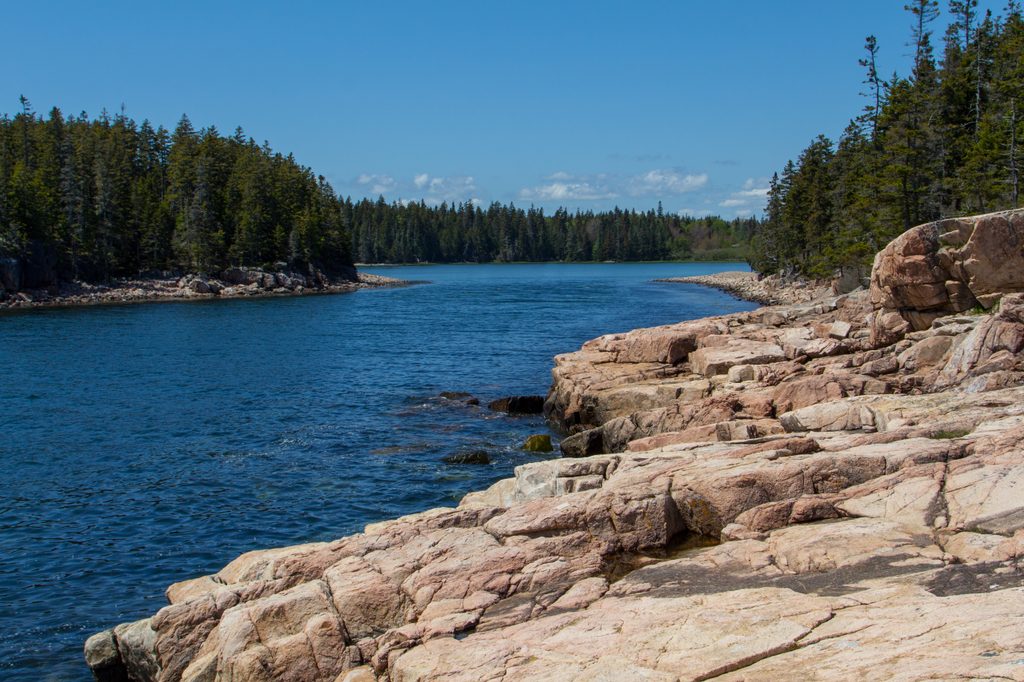 Ship Harbor Nature Trail, Acadia National Park
